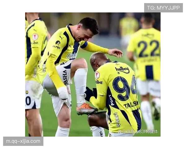 阿克图科格鲁梅开二度难救主 费内巴切核心虽败犹荣